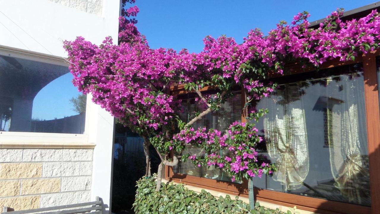 B&B La Posada Stintino Buitenkant foto